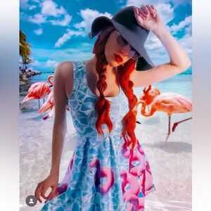 NWT Hot Dame Fiona Flirt Dress